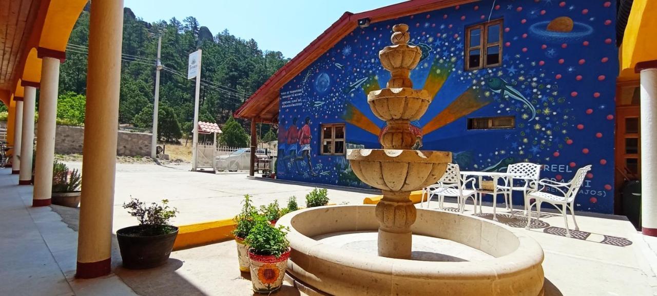 Hotel Ecologico Temazcal ครีล ภายนอก รูปภาพ