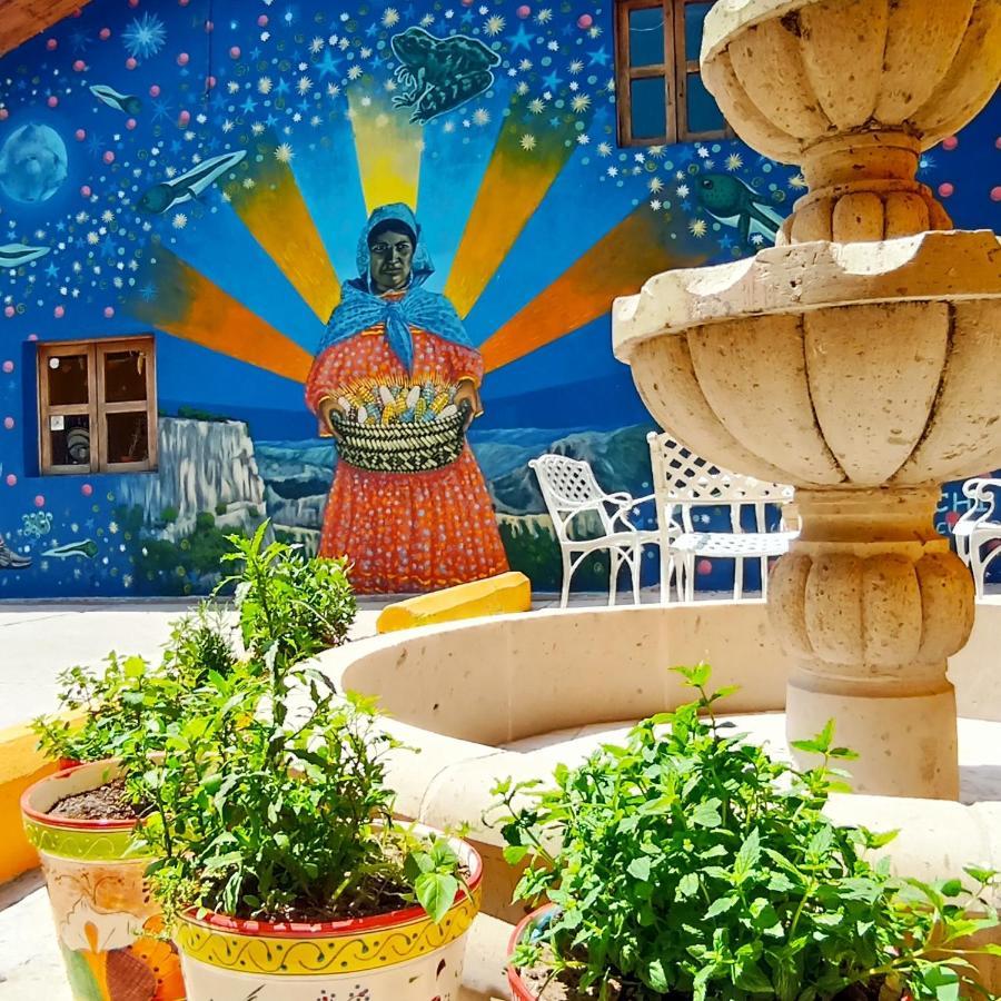 Hotel Ecologico Temazcal ครีล ภายนอก รูปภาพ