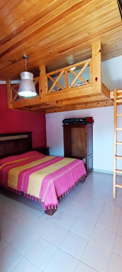 Hotel Ecologico Temazcal ครีล ห้อง รูปภาพ